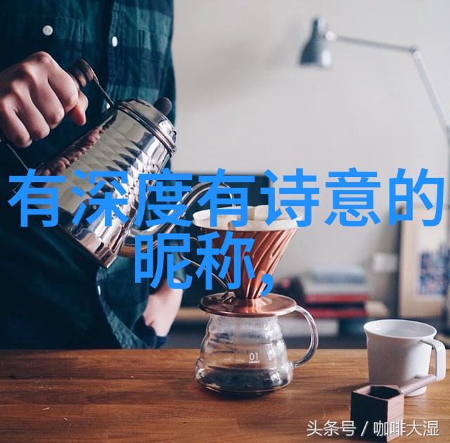 情网之恋一个个性化的故事