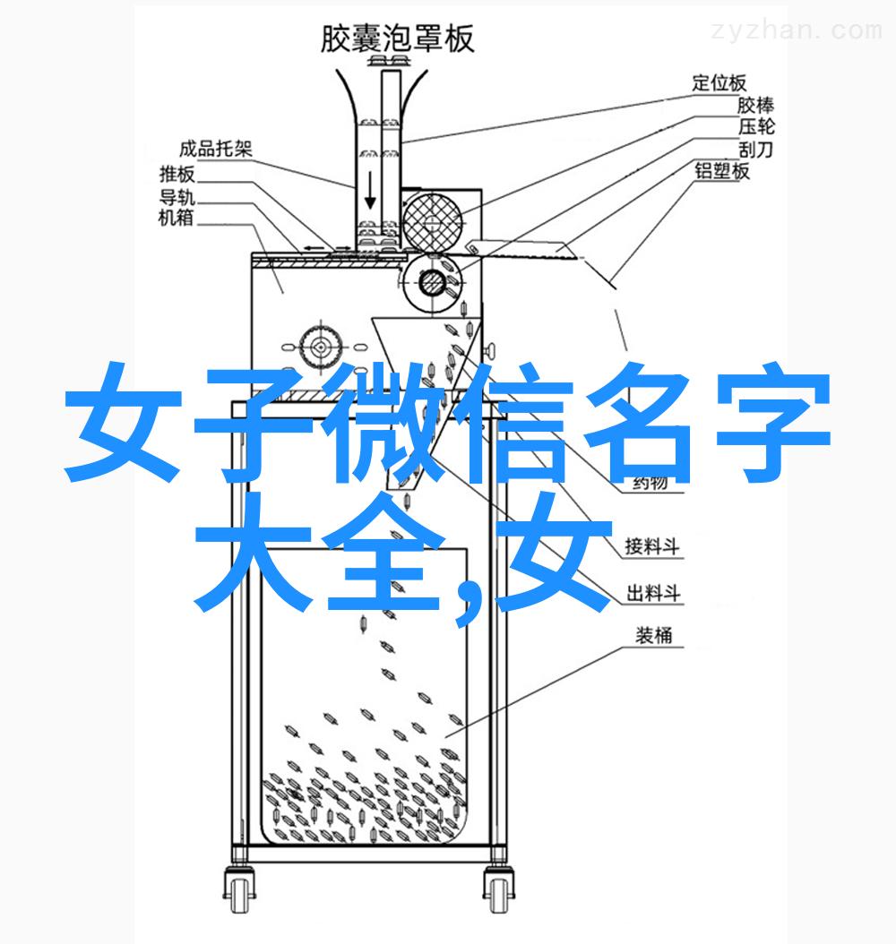 两字成名昵称文化的魅力与挑战