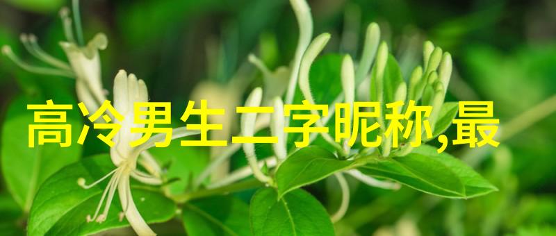 高中生的英文名字热水器的幽默分类