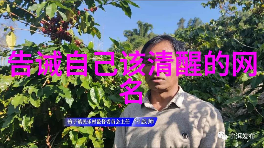 女人大度有涵养的微信名-温婉如初女性大度与文明的微信名选择指南