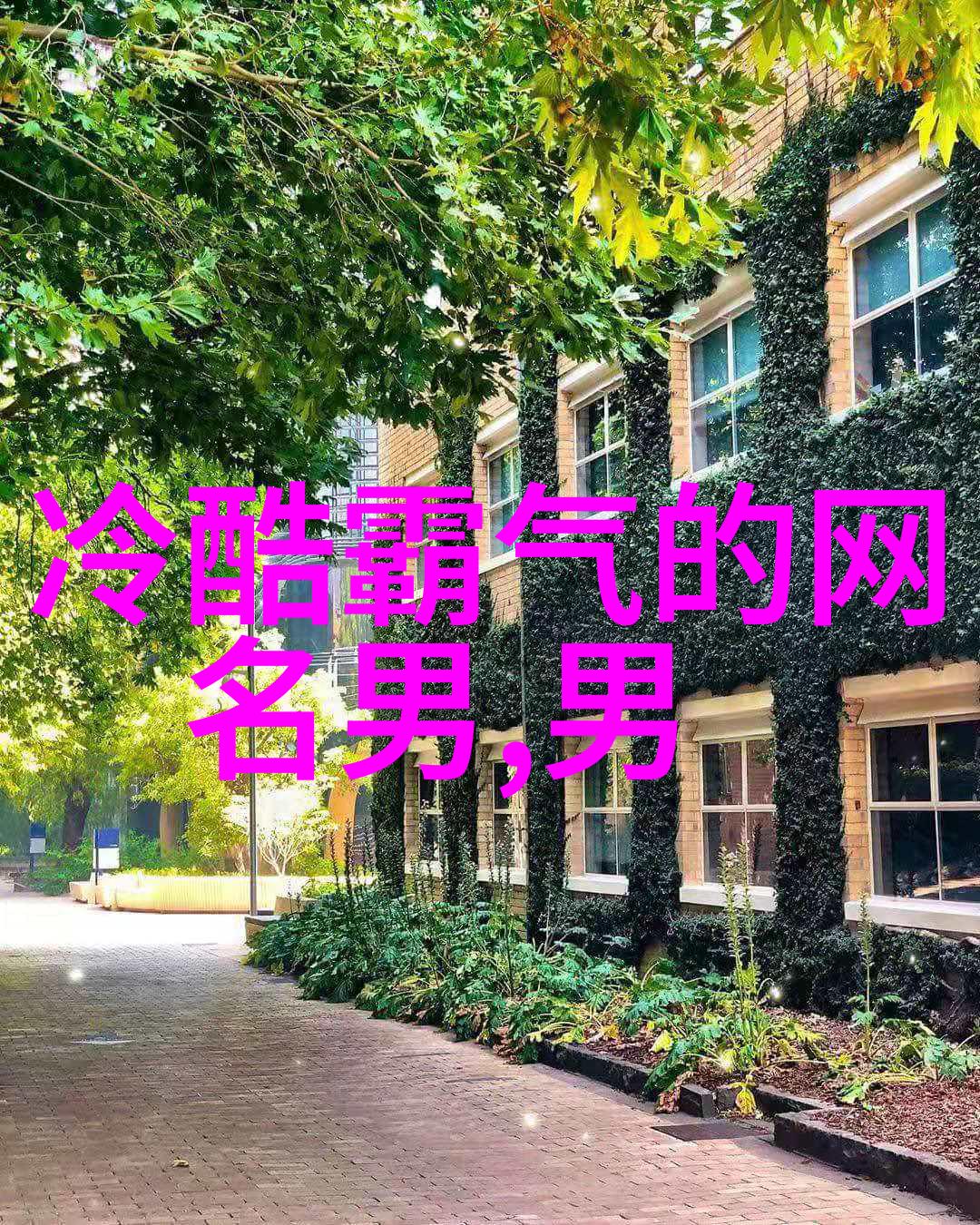 少年的光芒男生QQ网名设计艺术探索