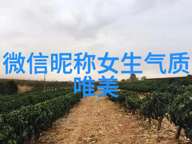 古韵悠扬巧思绘就的两个字网名秘籍