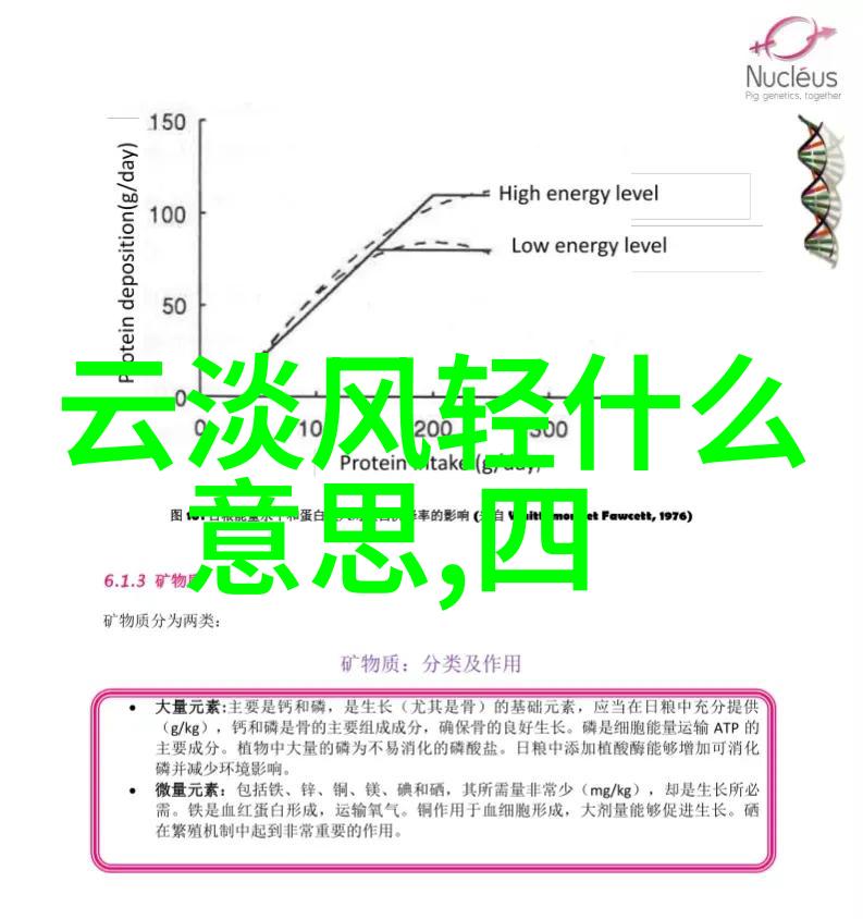 网红少女的沙雕冒险