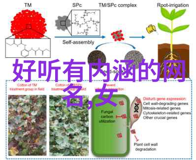 情感表达-哀愁书简探索伤感繁体字网名的哲学