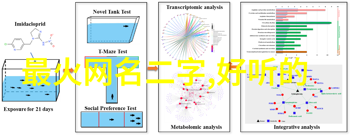 学长的笔记一错一支解锁考试之谜