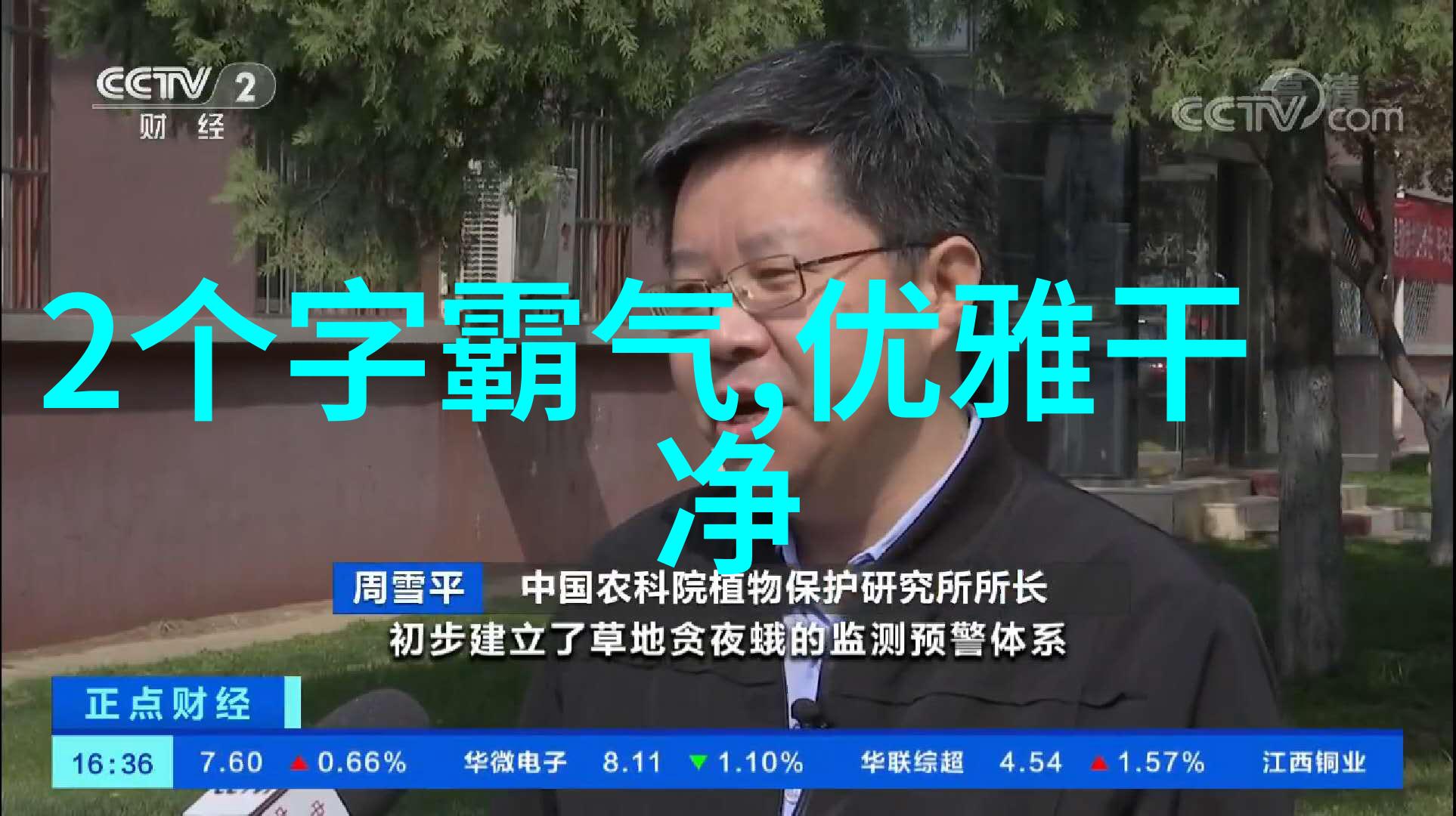 魔王夫君的宠儿格格党的未来策略