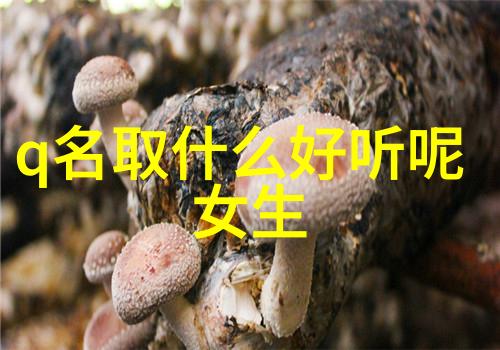 星光下的孤影高端局伤感的六个字