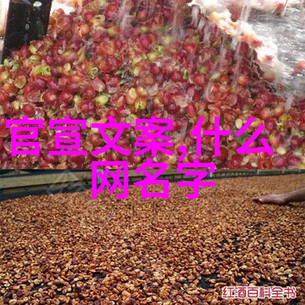 冷却系统中的关键组件冷凝器作用深度解析