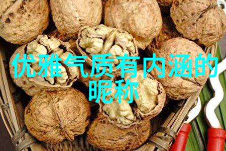 趣味生活-玩R头的100种方式从DIY装饰到创意摄影