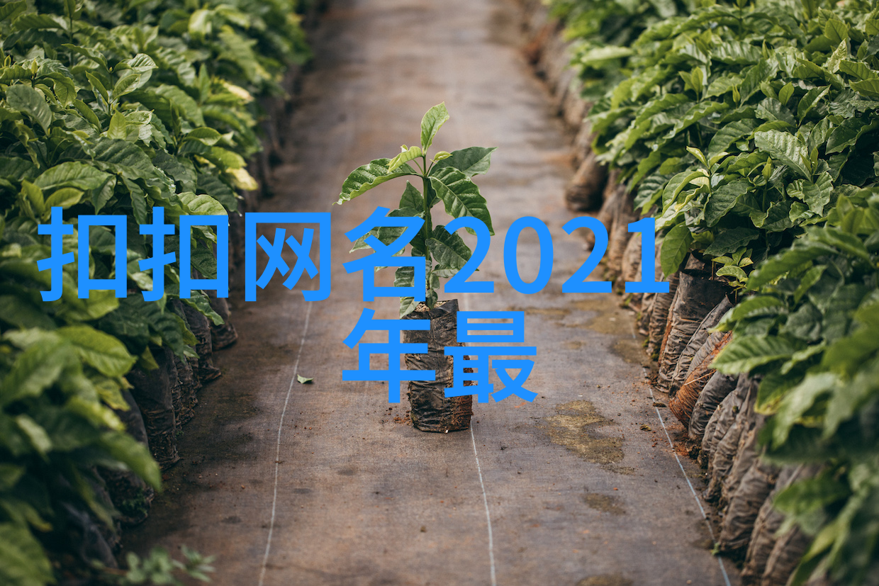 如何挑选一款适合自己的2023网名