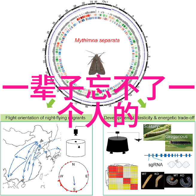 爱的韵律富有诗意的情侣id故事集