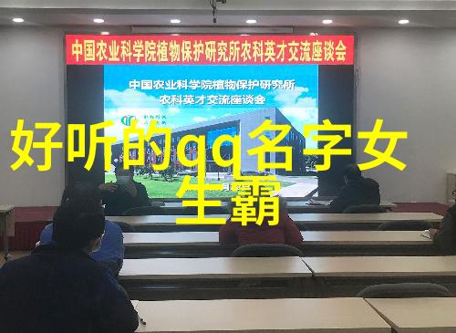 对于追求个性化并希望通过网络空间传递自我价值观的人来说在选择和创作一个代表自己身份的大型项目时该考虑