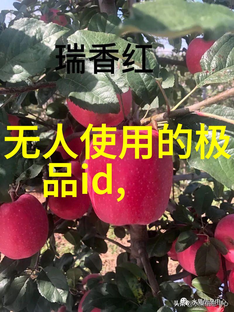 欧美含羞草全集免费观看完结篇