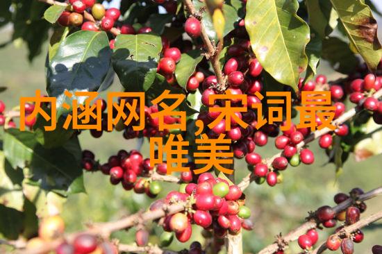 繁体字QQ情侣网名织梦信赖之网