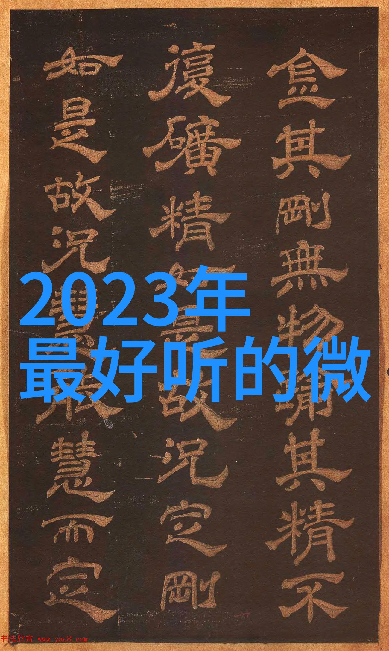 魅力研习社揽袖魅力研习社的优雅风采