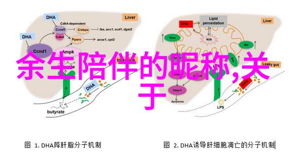 微信名精选永恒流行的社交媒体昵称