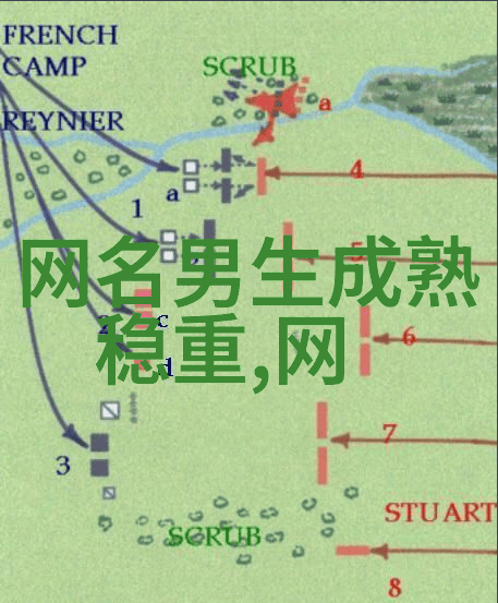 探索QQ伤感网名背后的情感深度真的能表达人心吗