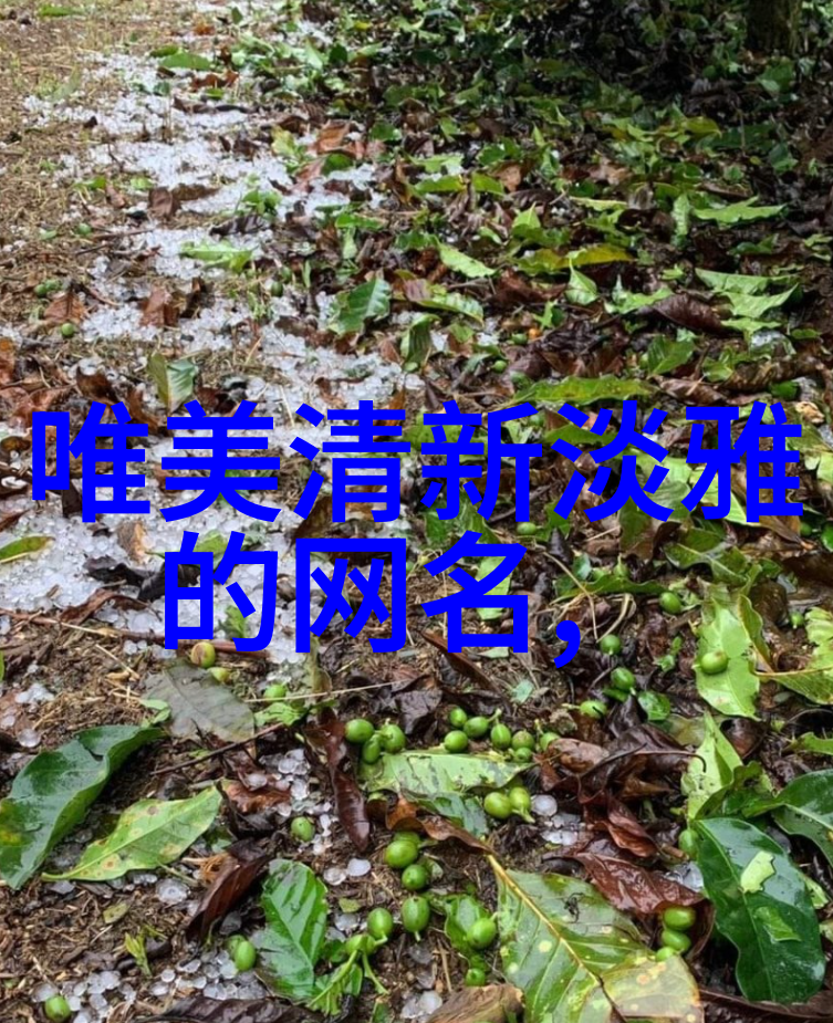 选择了一个简单但独特的四个字网名后还需要进行怎样的宣传来让更多人认识吗