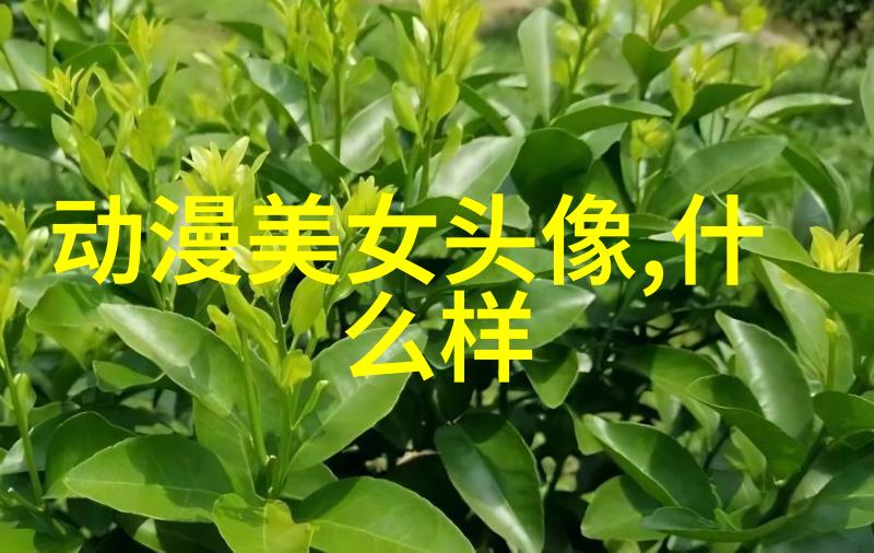 隐藏在明处解析那些以平凡名义掩藏非凡存在的人物