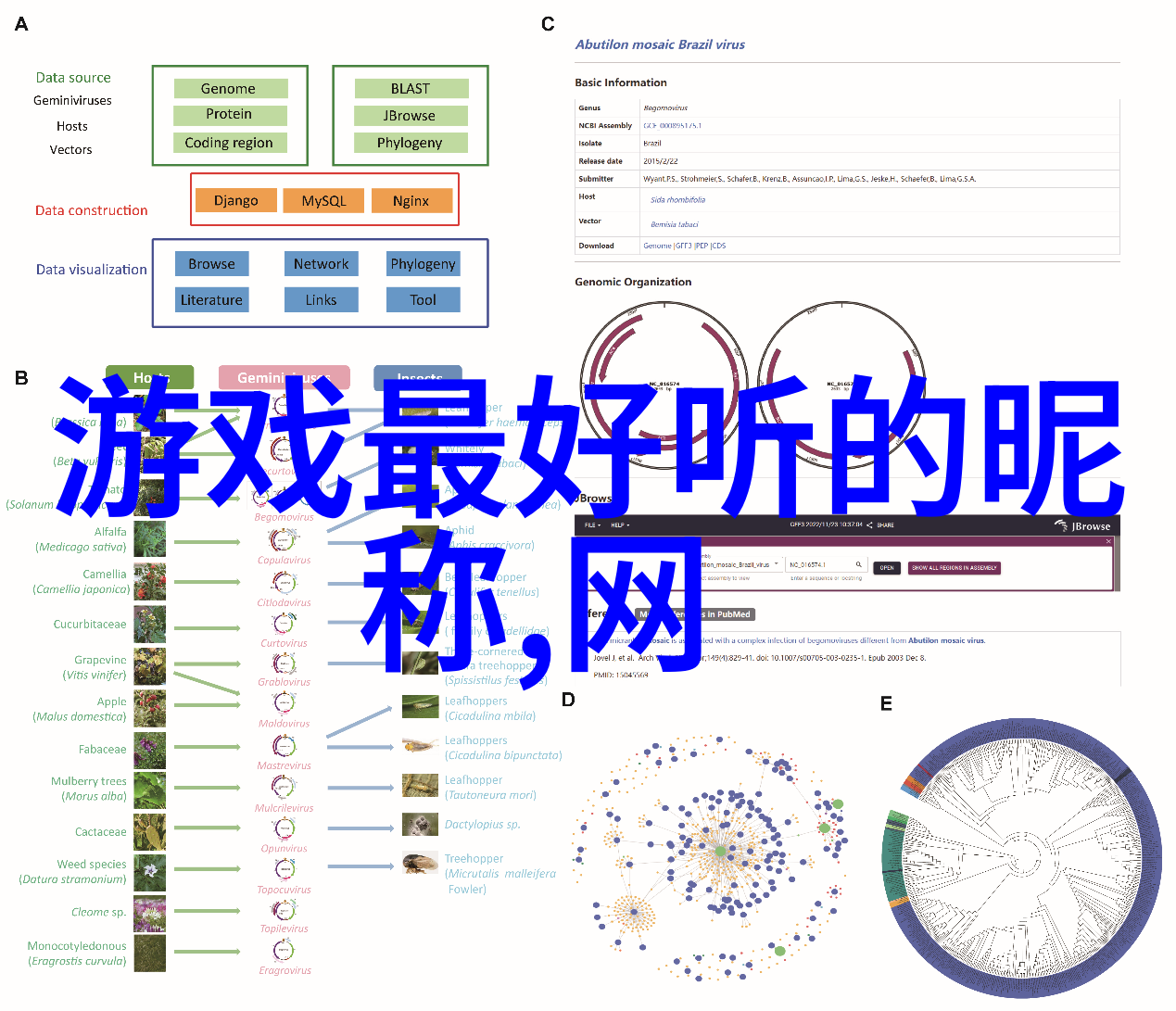 主题我是怎么想出这么可爱的QQ女生网名的