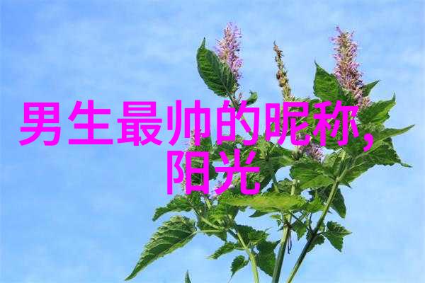 斗罗大陆人物黄化系统全解析