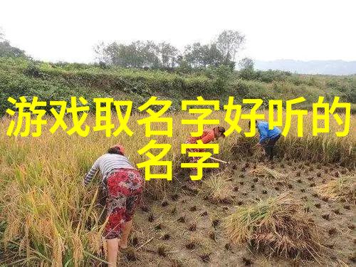 一段时间一份思考1003的文化寓意