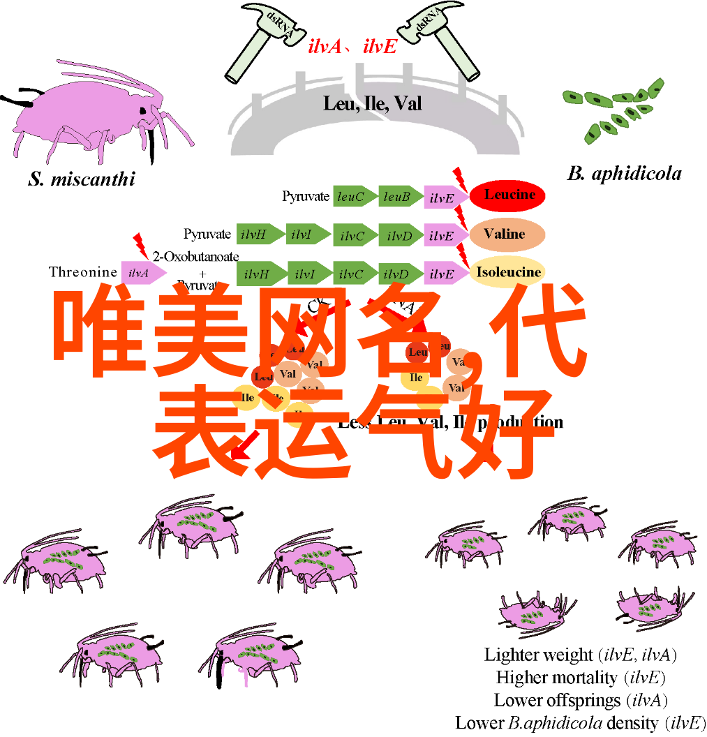 甜蜜翩翩探索可爱女生QQ网名的艺术与魅力