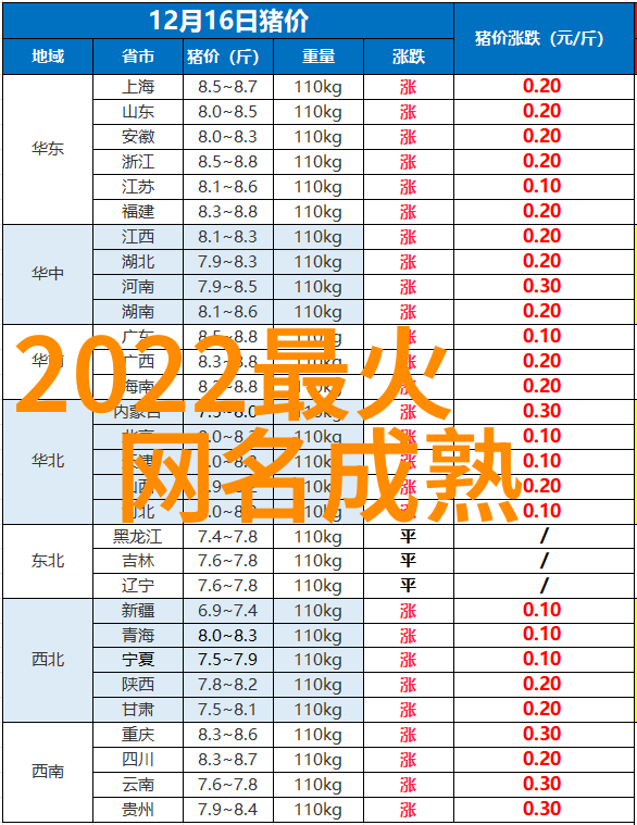 晴光洒满无影的时光