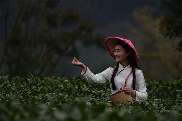 网名优雅古风男生_优雅古风网名_网名优雅古风女/